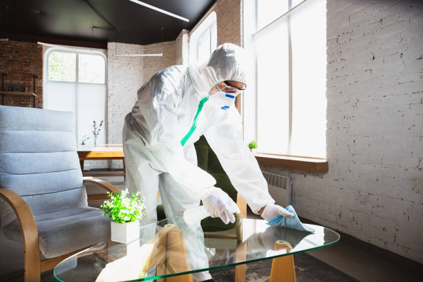 Reliable Harbor Hills, OH Mold Removal & Remediation Solutions